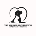 thewhiskersfoundation-org.preview-domain.com